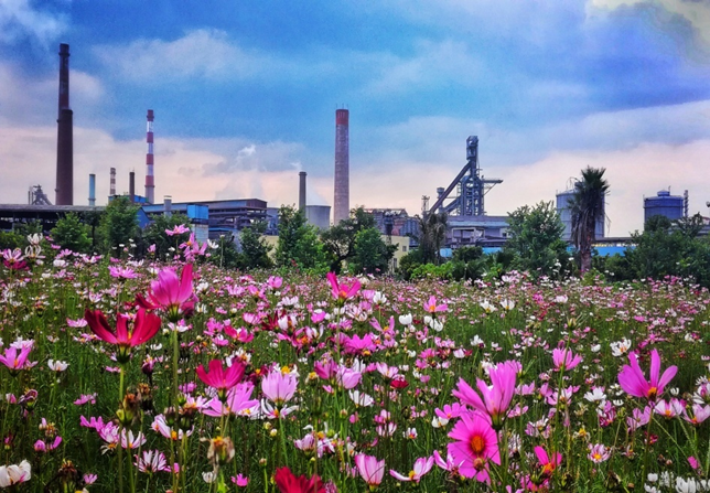 花园工厂.png 花园工厂.png